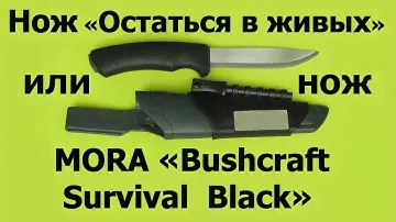 Нож выживания «Остаться в живых» от Экспедиции и MORA Bushcraft Survival Black